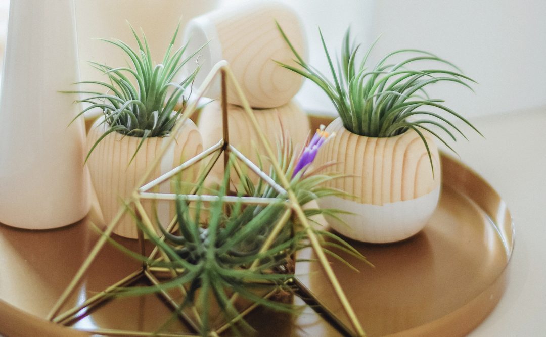 Retiro en el Valle del Tiétar